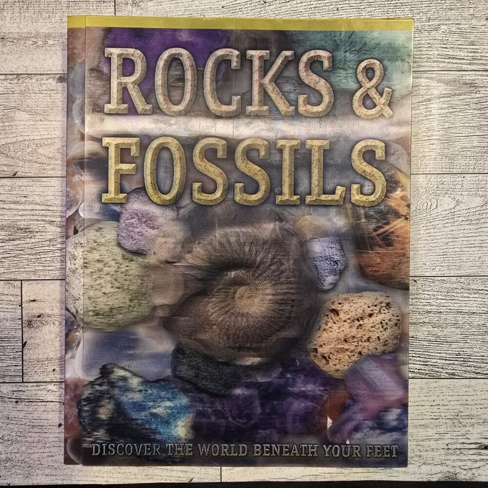Rocks and Fossils Paperback book